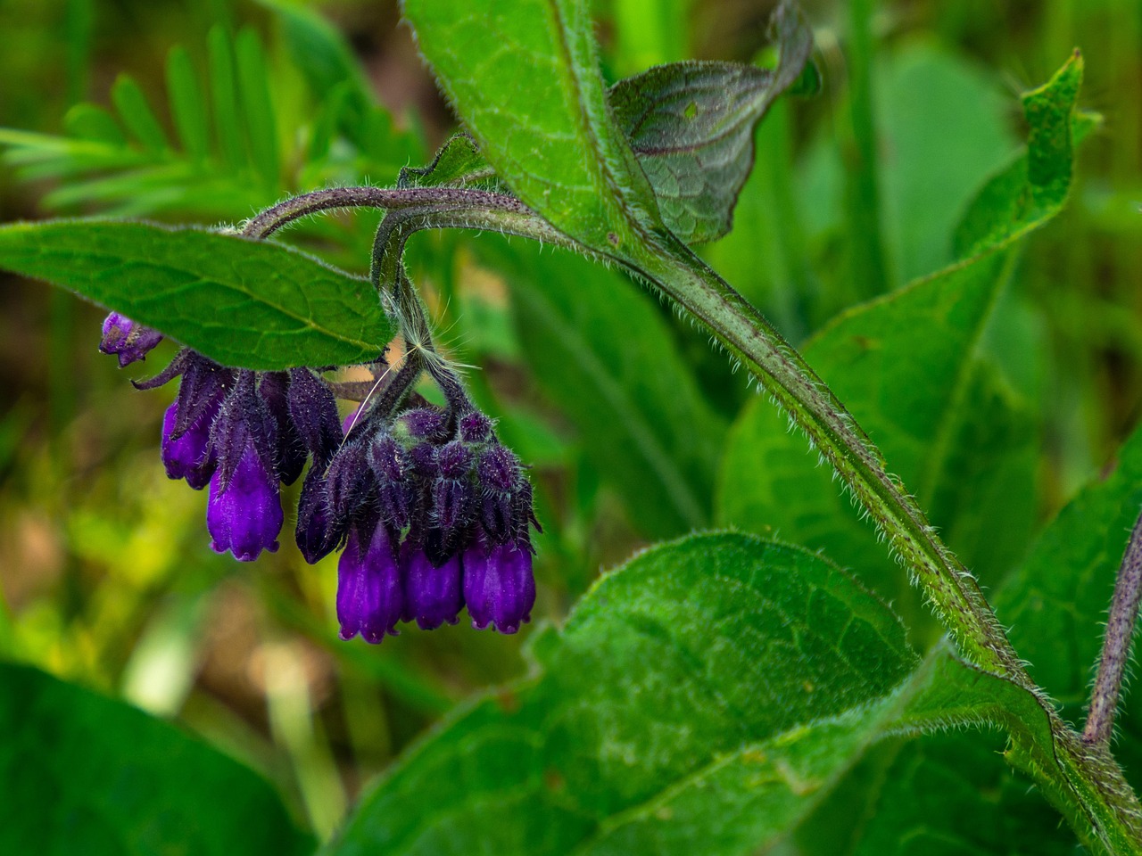 Hoe praat je via de Eufy-app met iemand thuis?
