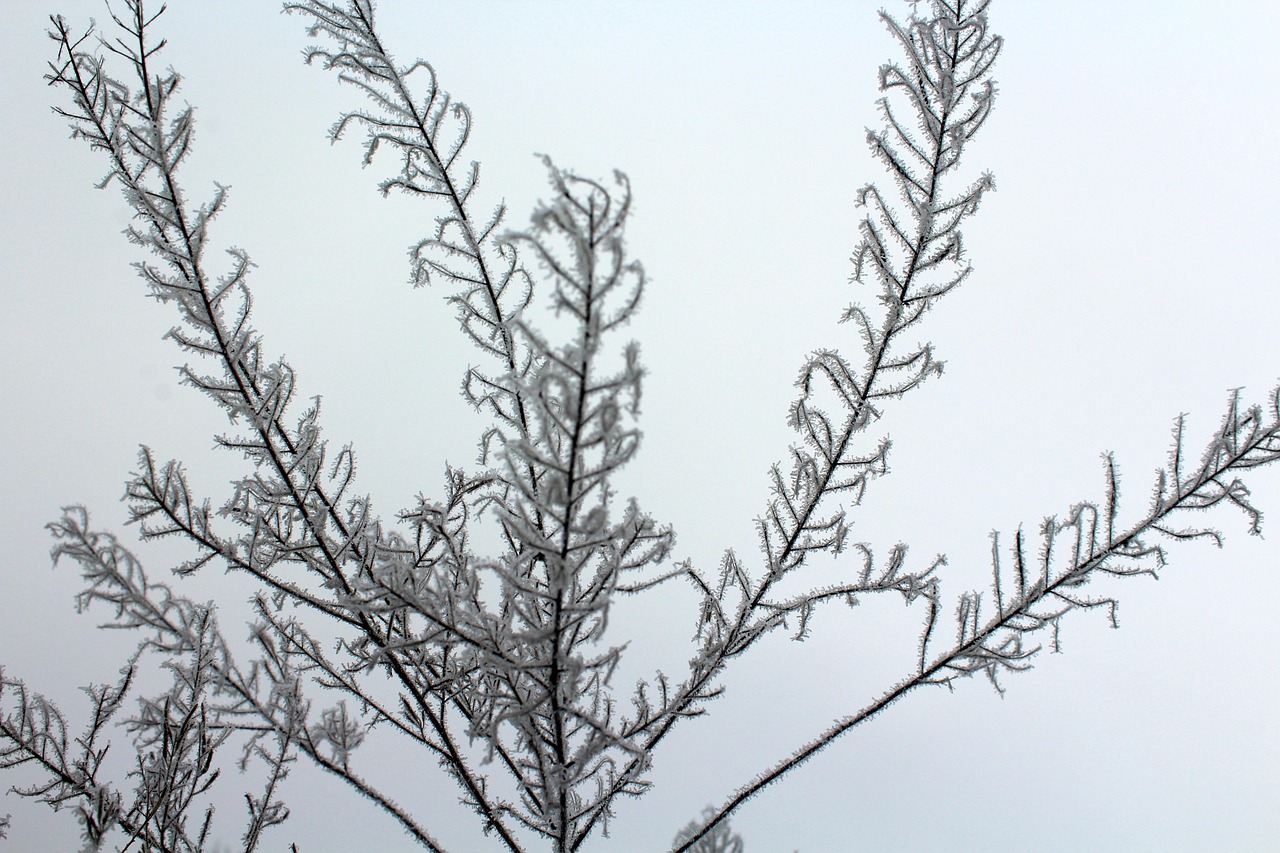 Hoe verlaag je de temperatuur van een Whirlpool vriezer?