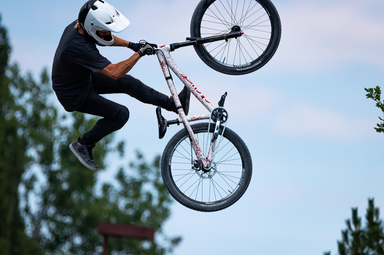 Is de Touring 2 fietsendrager geschikt voor mountainbikes?
