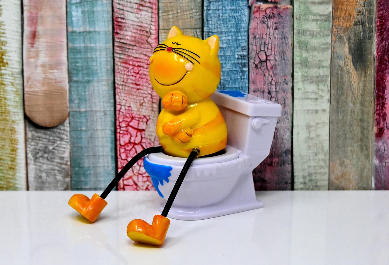 Hoe verwijder je blauwe aanslag in toiletpotten effectief?