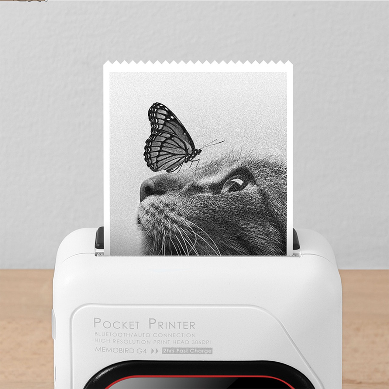 Waarom herkent mijn pc mijn HP printer niet?